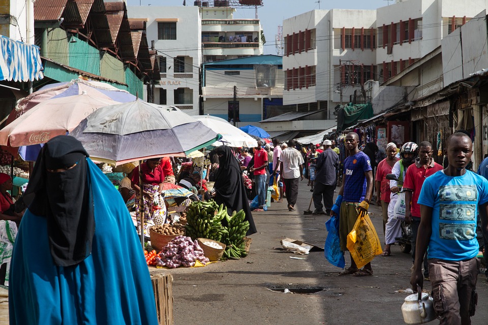 Article : Mes premiers pas en solitaire dans un marché